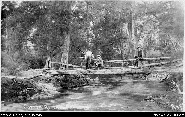 Members of the Board appointed to report upon sites for the Federal Capital at Cotter River